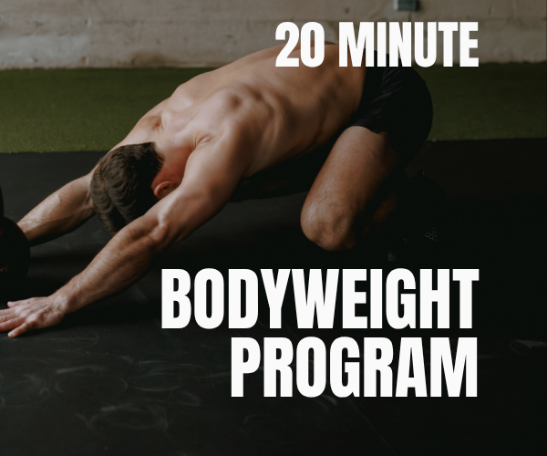 Daily Bodyweight