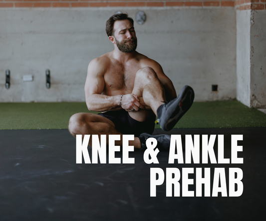 Knee & Ankle Program